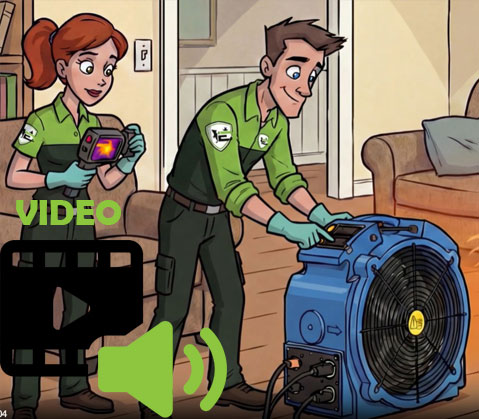 Video Nos Services punaises